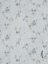 ufasma Emprime 'Nicole' diathesimo se 3 Apoxroseis